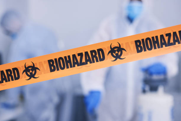 Professional Hoarding Cleanup technician working in Heber City, UT